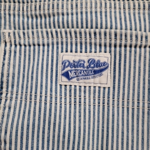 Porter Blue Striped Peyton Painters Pants - Picture 8 of 9